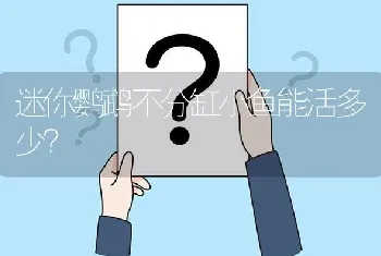 迷你鹦鹉不分缸小鱼能活多少？