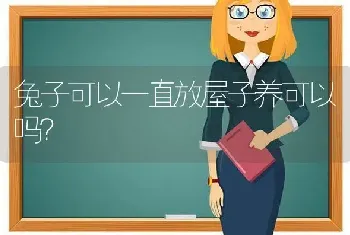 兔子可以一直放屋子养可以吗？