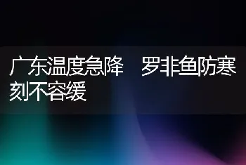 广东温度急降罗非鱼防寒刻不容缓