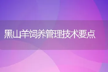 黑山羊饲养管理技术要点