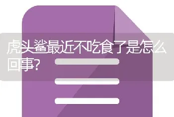 虎头鲨最近不吃食了是怎么回事？