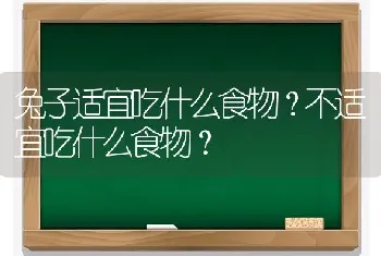 兔子适宜吃什么食物？不适宜吃什么食物？