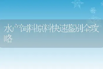 水产饲料原料快速鉴别全攻略