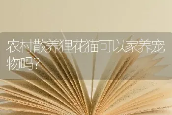 农村散养狸花猫可以家养宠物吗？