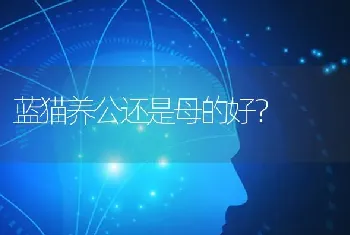 适合穷人养的小动物？