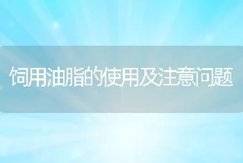 饲用油脂的使用及注意问题