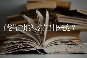 白猫耳螨会导致发烧吗，白猫耳螨会有什么症状出现？