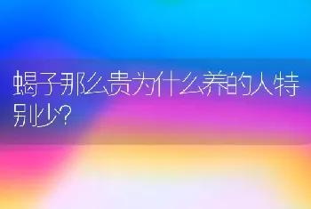 蝎子那么贵为什么养的人特别少？