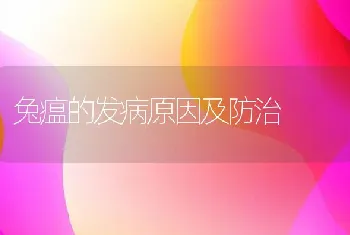 兔瘟的发病原因及防治