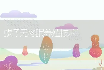 维生素营养和疾病的相互作用