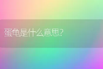 蛋龟是什么意思？