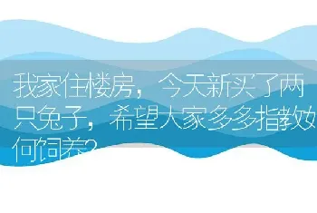 我家住楼房，今天新买了两只兔子，希望大家多多指教如何饲养？