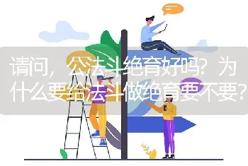 请问，公法斗绝育好吗?为什么要给法斗做绝育要不要？