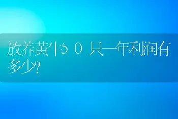 放养黄牛50只一年利润有多少？