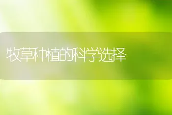 牧草种植的科学选择