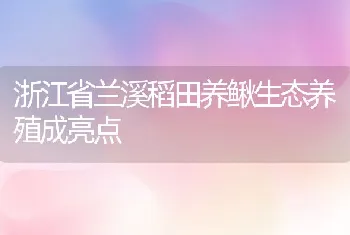 浙江省兰溪稻田养鳅生态养殖成亮点