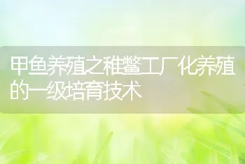 甲鱼养殖之稚鳖工厂化养殖的一级培育技术