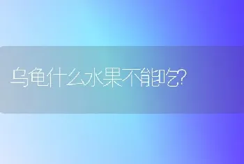 乌龟什么水果不能吃？