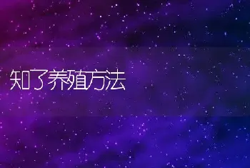 知了养殖方法