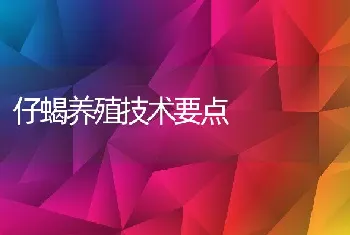 仔蝎养殖技术要点