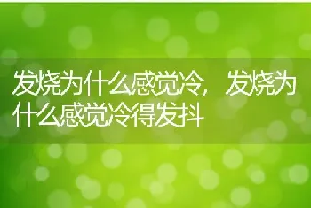 发烧为什么感觉冷，发烧为什么感觉冷得发抖