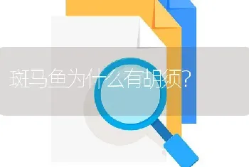 斑马鱼为什么有胡须？