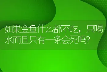 如果金鱼什么都不吃，只喝水而且只有一条会死吗？