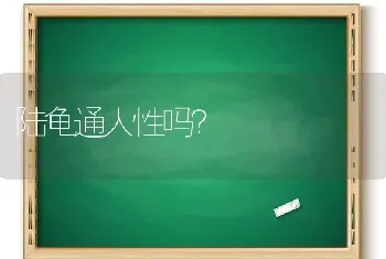 陆龟通人性吗？