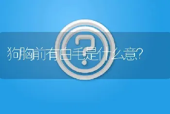 狗胸前有白毛是什么意？