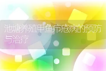 池塘养殖甲鱼疖疮病的预防与治疗