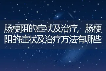 肠梗阻的症状及治疗，肠梗阻的症状及治疗方法有哪些