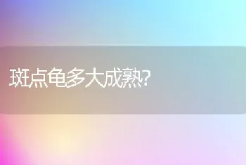 斑点龟多大成熟？