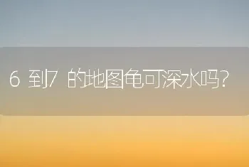 6到7的地图龟可深水吗？