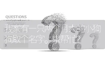 我家有一只两个月大的小狗狗取个名字。求帮忙？