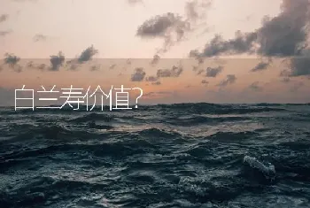 白兰寿价值？