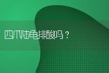 四爪陆龟排酸吗？