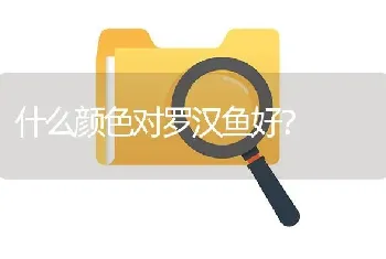 什么颜色对罗汉鱼好？