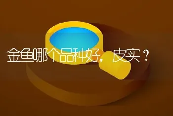 金鱼哪个品种好，皮实？