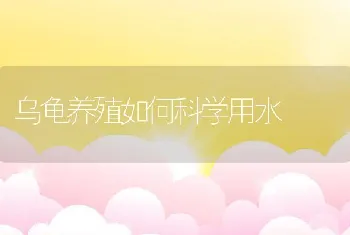 乌龟养殖如何科学用水