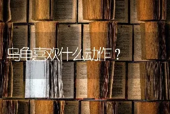 乌龟喜欢什么动作？