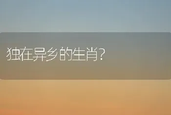 独在异乡的生肖？