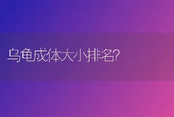 乌龟成体大小排名？