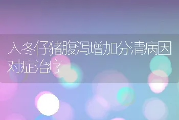 稻田鱼鳖混养技术