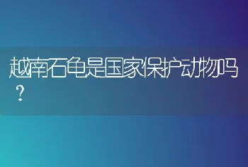 越南石龟是国家保护动物吗？