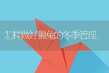 开春后防治甲鱼疾病的有效措施