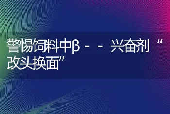 警惕饲料中β--兴奋剂改头换面