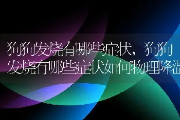 狗狗发烧有哪些症状，狗狗发烧有哪些症状如何物理降温