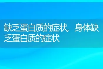 缺乏蛋白质的症状，身体缺乏蛋白质的症状