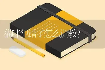 蓝虎斑曼基康是如何培育的？