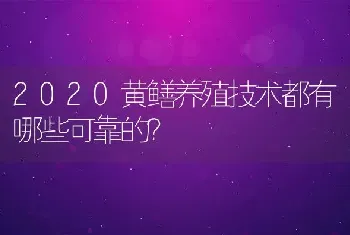 2020黄鳝养殖技术都有哪些可靠的？